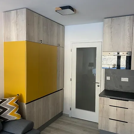 Apartment With A View Of The Ski Slope Dolní Morava Exterior photo